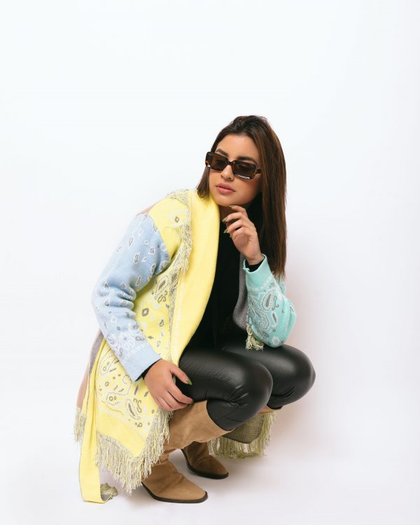 Cardigan Rainbow