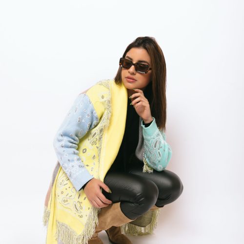 Cardigan Rainbow